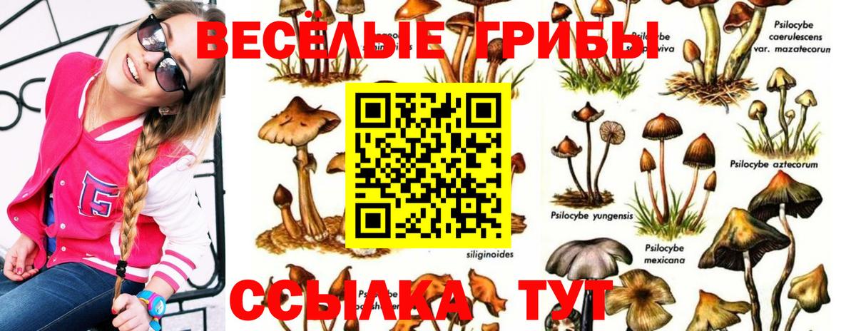Клинцы  Галлюциногенные грибы MAGIC MUSHROOMS  закладка  Галлюциногенные грибы Cubensis  Вход с VPN 